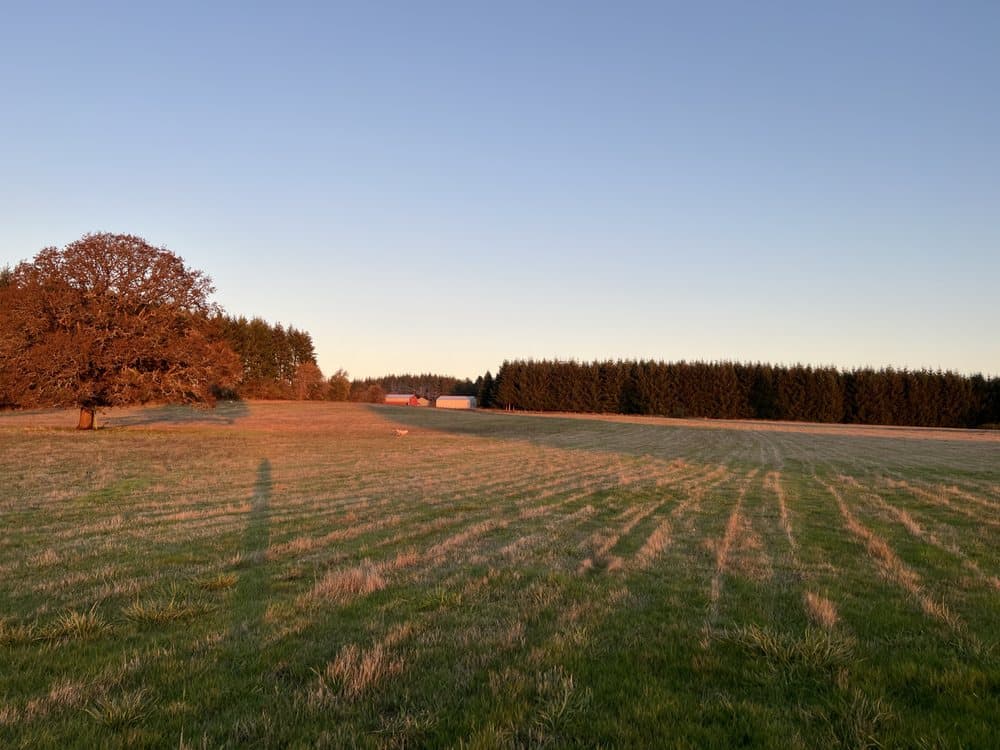 Pleasant Pond Farm - wedding in Lebanon, OR