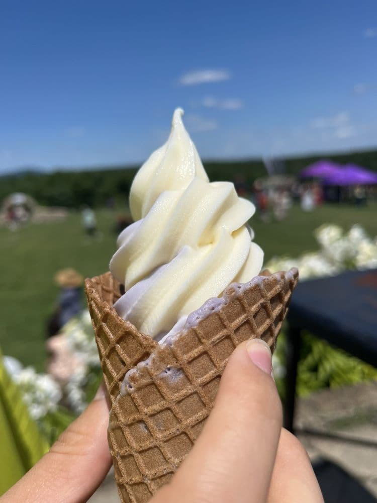 The Farm At Summitwynds - wedding in Holden, MA