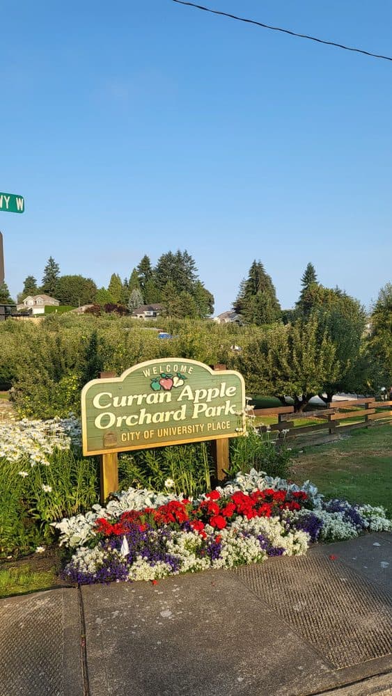 Curran Apple Orchard - wedding in University Place, WA
