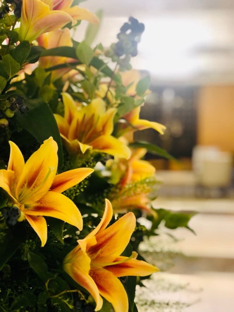 The Rittenhouse Hotel - wedding in Philadelphia, PA