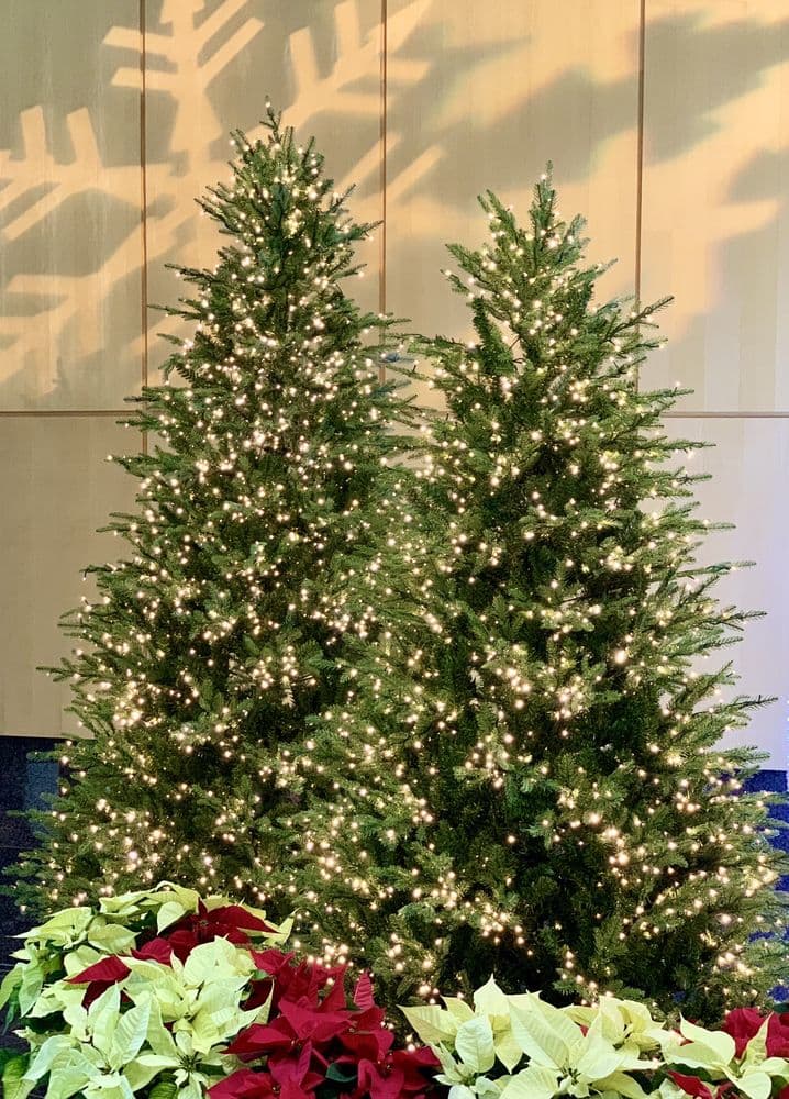 Chase Center on the Riverfront - wedding in Wilmington, DE