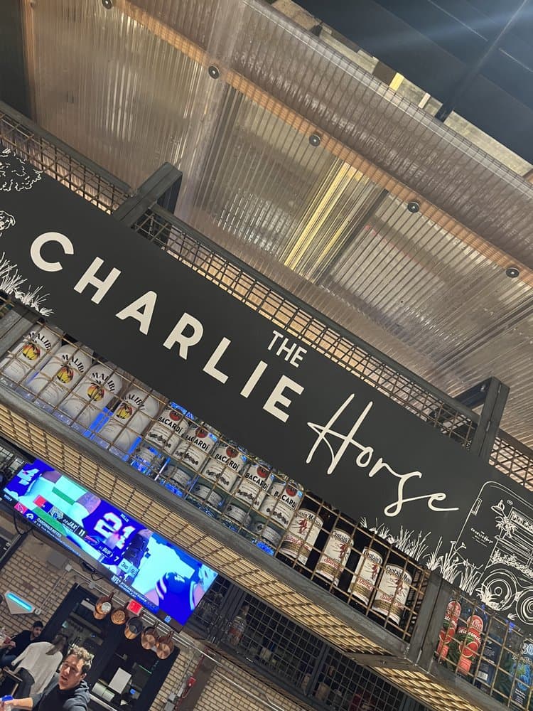 The Charlie Horse Family - wedding in Fort Wayne, IN