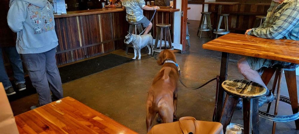 Little Bird Brewing - wedding in San Diego, CA