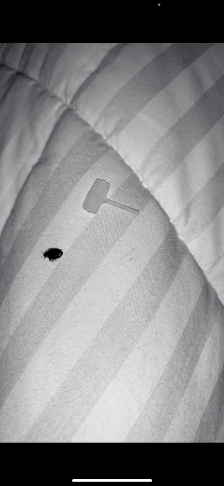 Holiday Inn Express & Suites Ridgeland - Jackson North Area - wedding in Ridgeland, MS